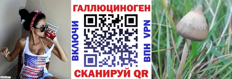 Галлюциногенные грибы Magic Shrooms  Купить  Борзя 
